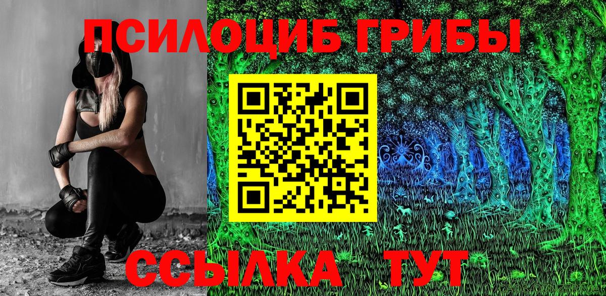 Псилоцибиновые грибы GOLDEN TEACHER Кинель