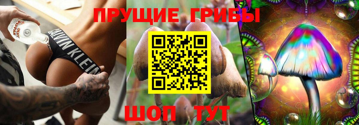 Кинель  где найти наркотики  Вход с VPN  Псилоцибиновые грибы ЛСД 